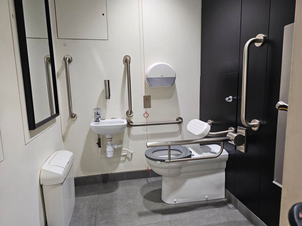 accessible loo, transfer is on left of toilet. toilet is grey and white